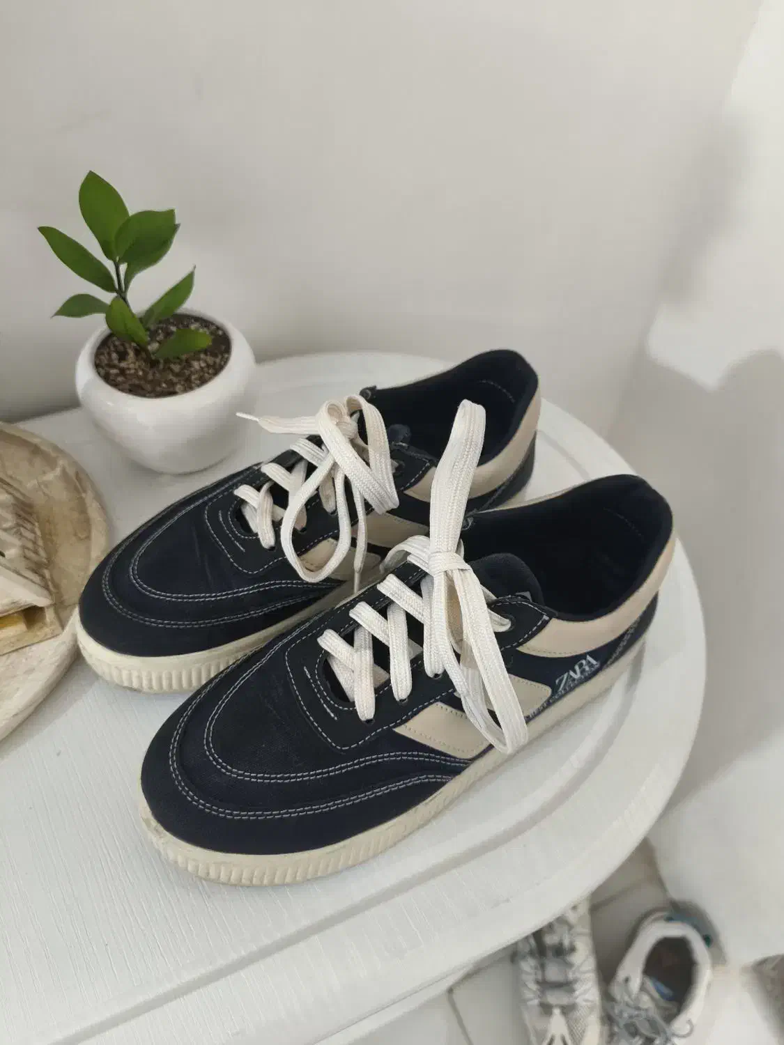 کفش|کیف، کفش، کمربند|مشهد, فارغ التحصیلان|دیوار