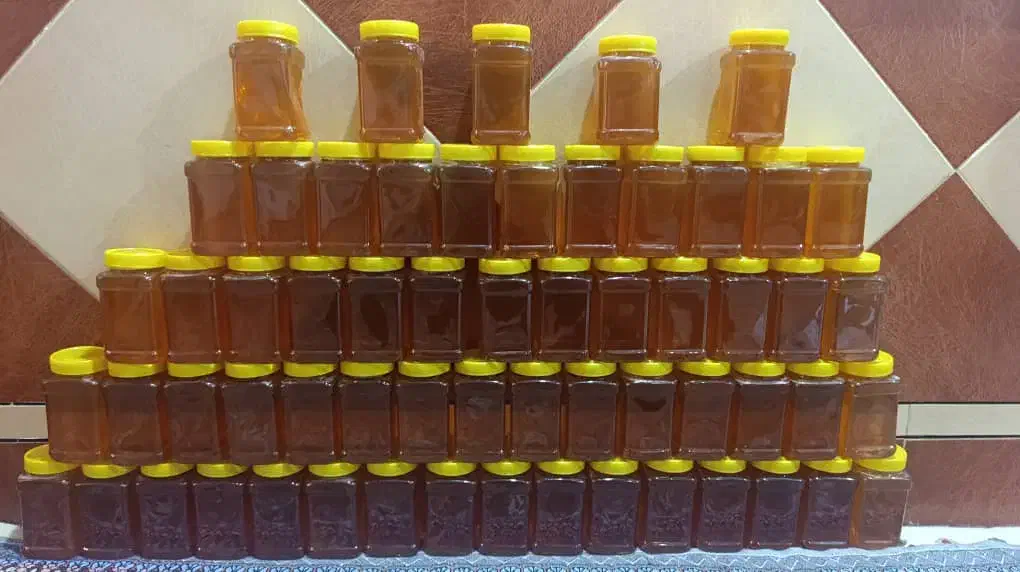 عسل طبیعی کردستان|خوردنی و آشامیدنی|اهواز, عین ۲|دیوار