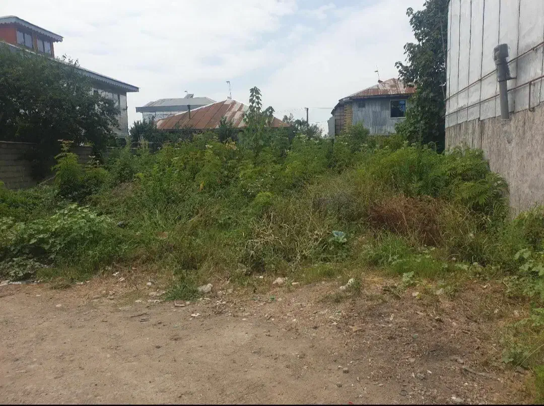 فروش استثنایی زمین 350 متری مسکونی سنددار در ضیابر|فروش زمین و ملک کلنگی|ضیابر, |دیوار