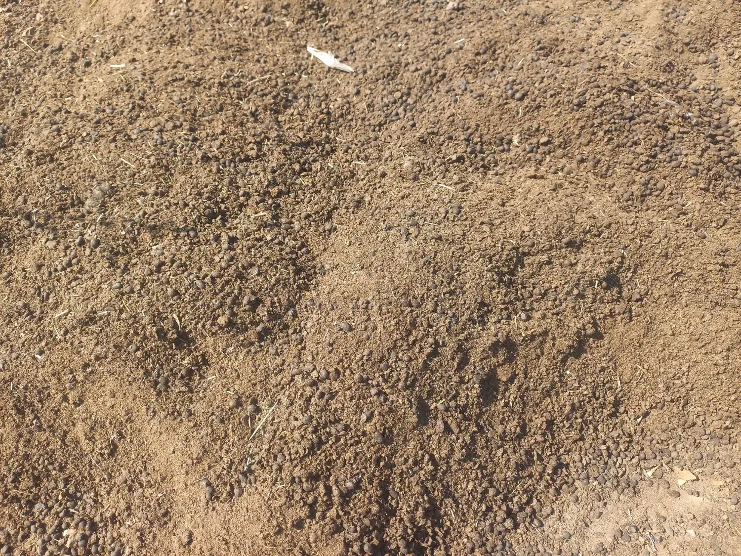 کود حیوانی گوسفند|خدمات باغبانی و درختکاری|یاسوج, |دیوار