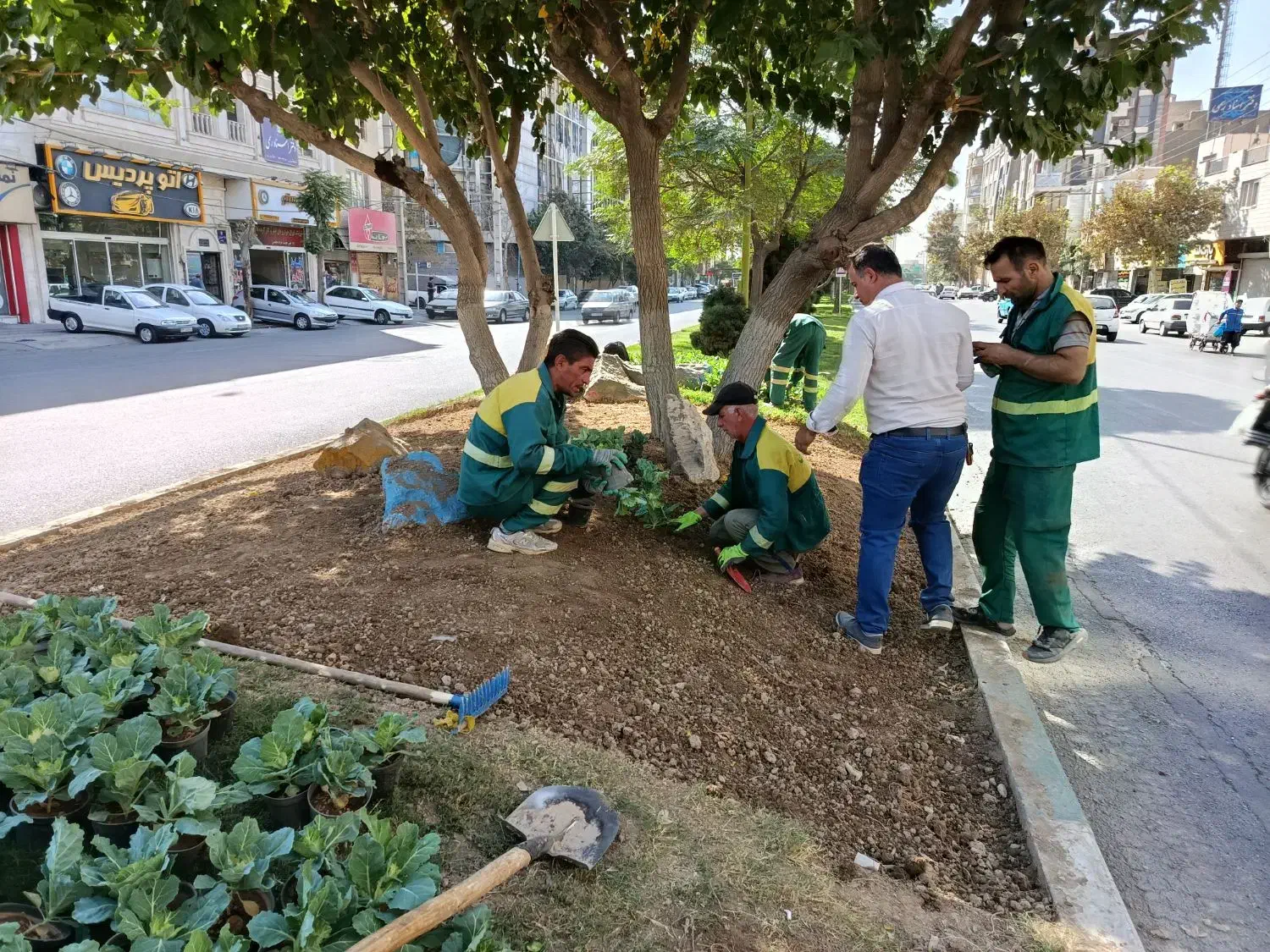 جذب نیرو کار جهت کار در فضای سبز|خدمات باغبانی و درختکاری|قدس, شهر‌قدس|دیوار