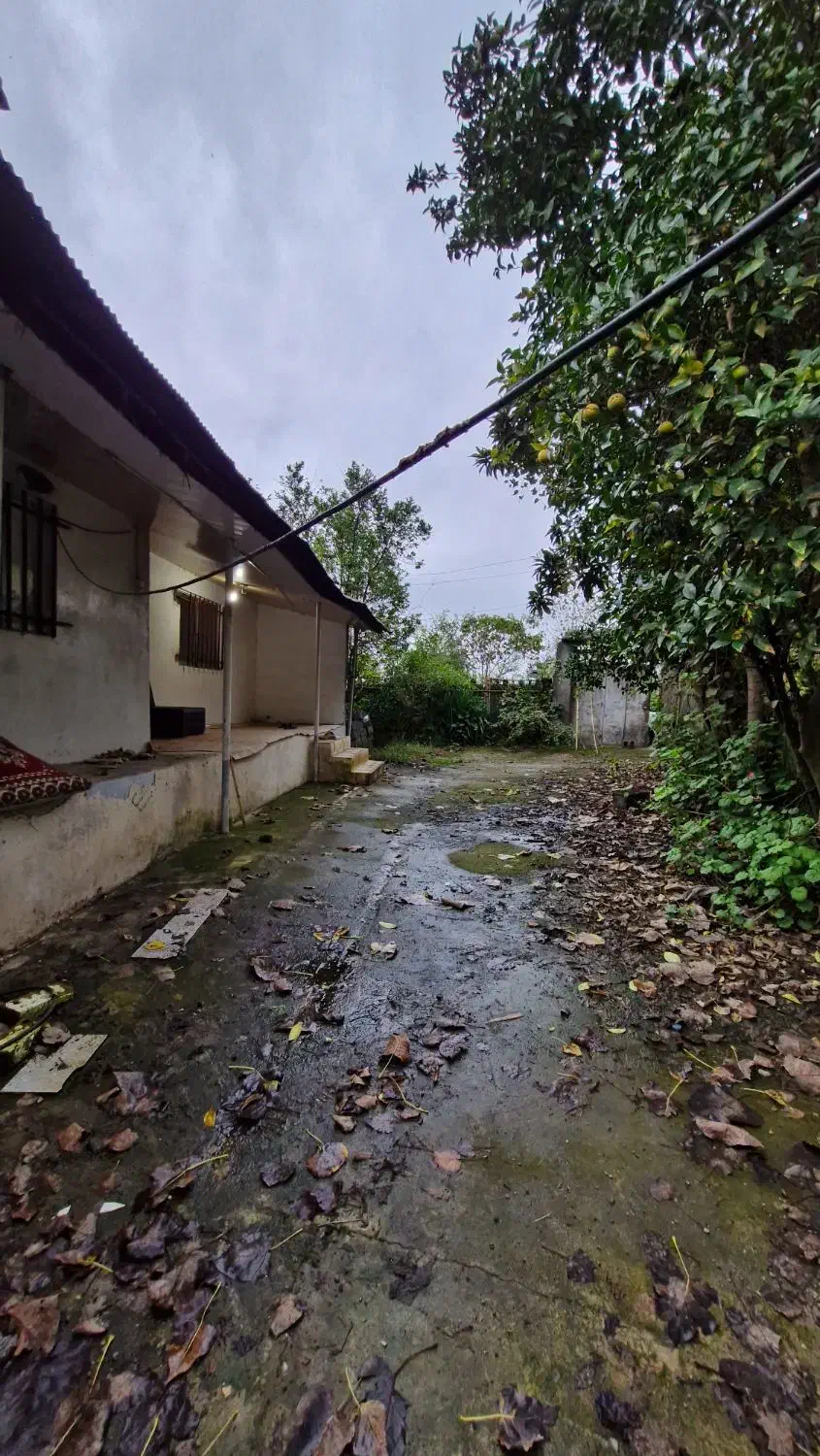 خانه کلنگی ۸ هزار متری|فروش خانه و ویلا|خشکبیجار, |دیوار