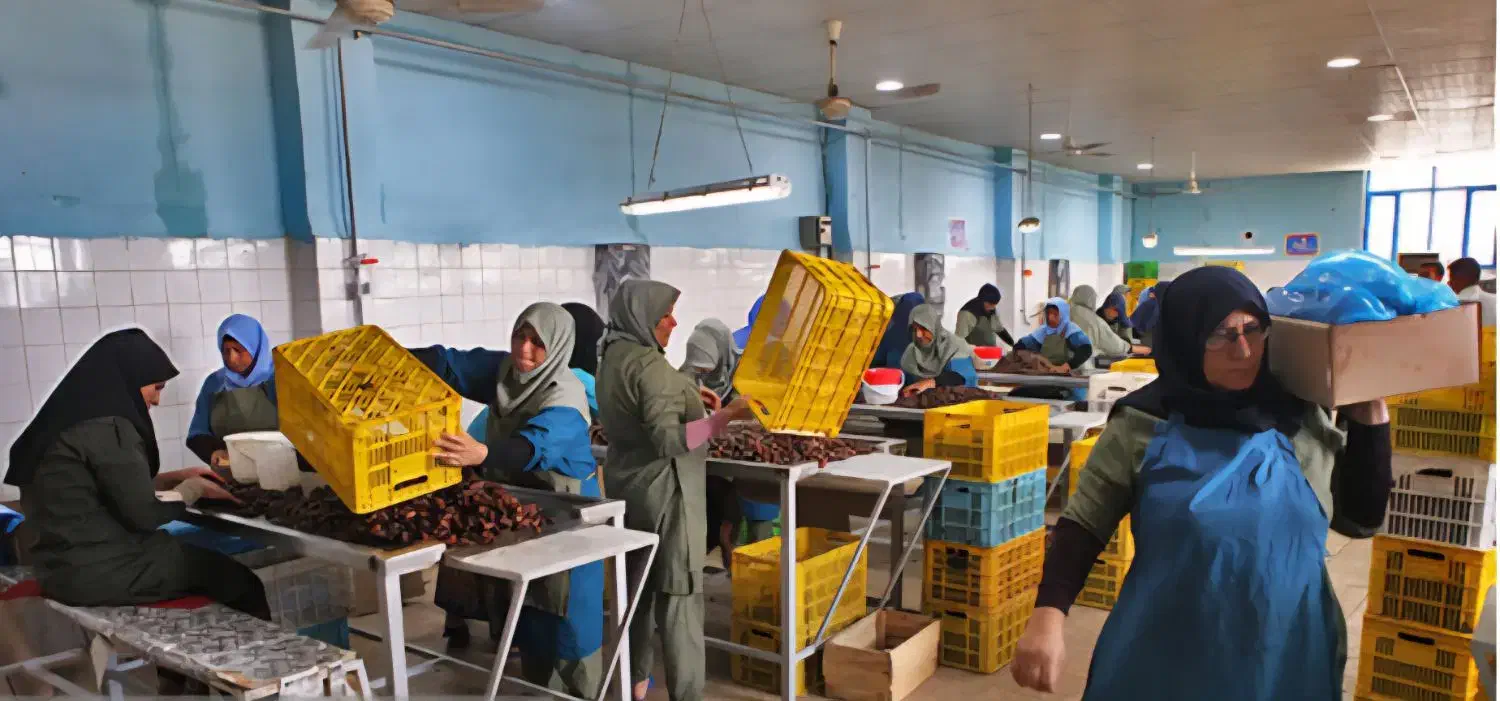 نیروی خانم بسته بندی خرما|استخدام صنعتی، فنی، مهندسی|بم, |دیوار