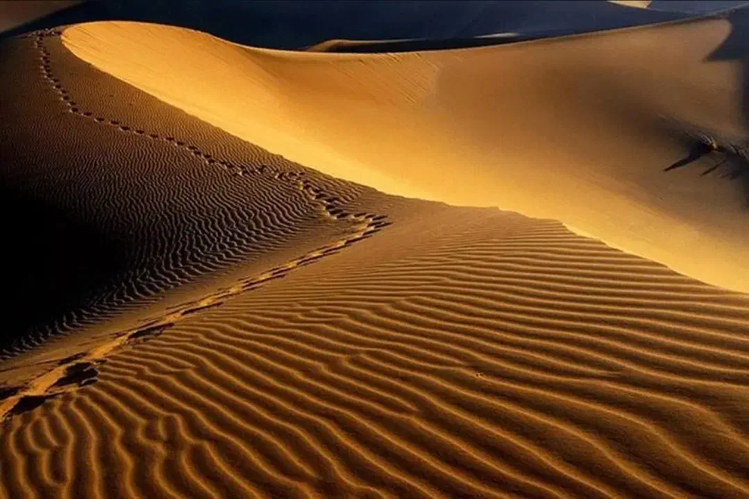 تور فولبرد کویر مصر ،کال جنی،ازمیغان|تور و چارتر|مشهد, کوثر|دیوار