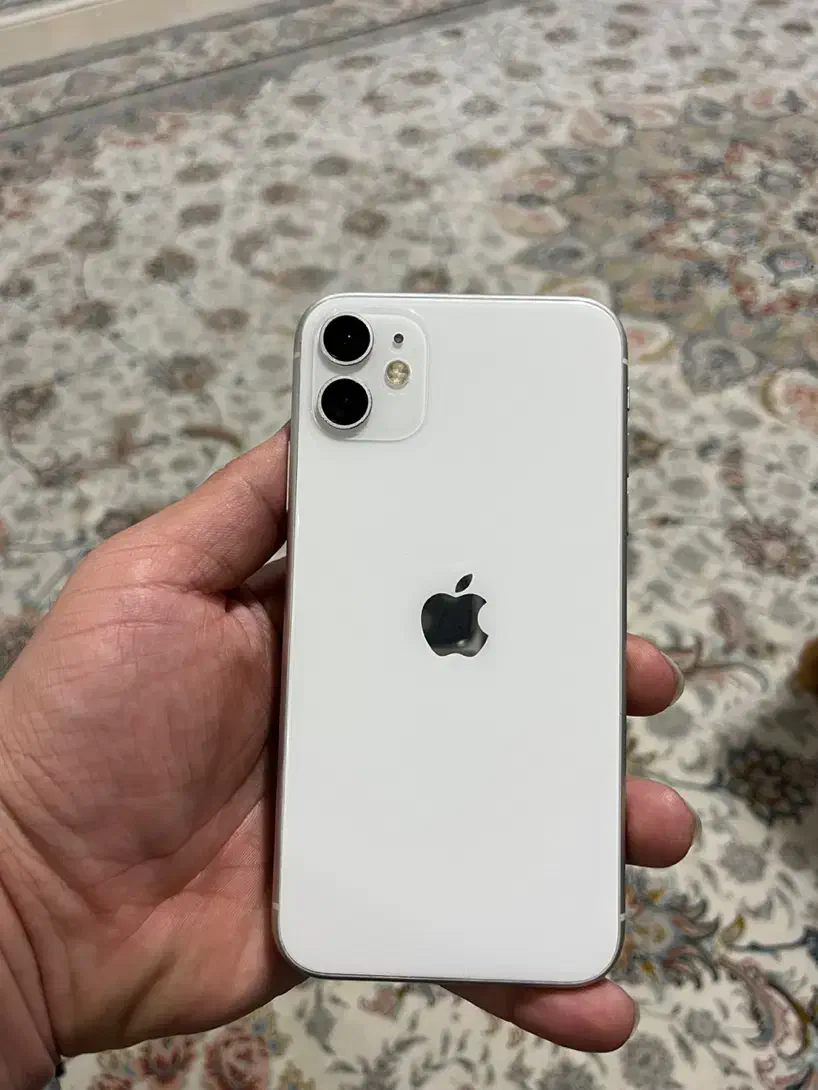 آیفون iPhone 11|موبایل|مشهد, رضاشهر|دیوار