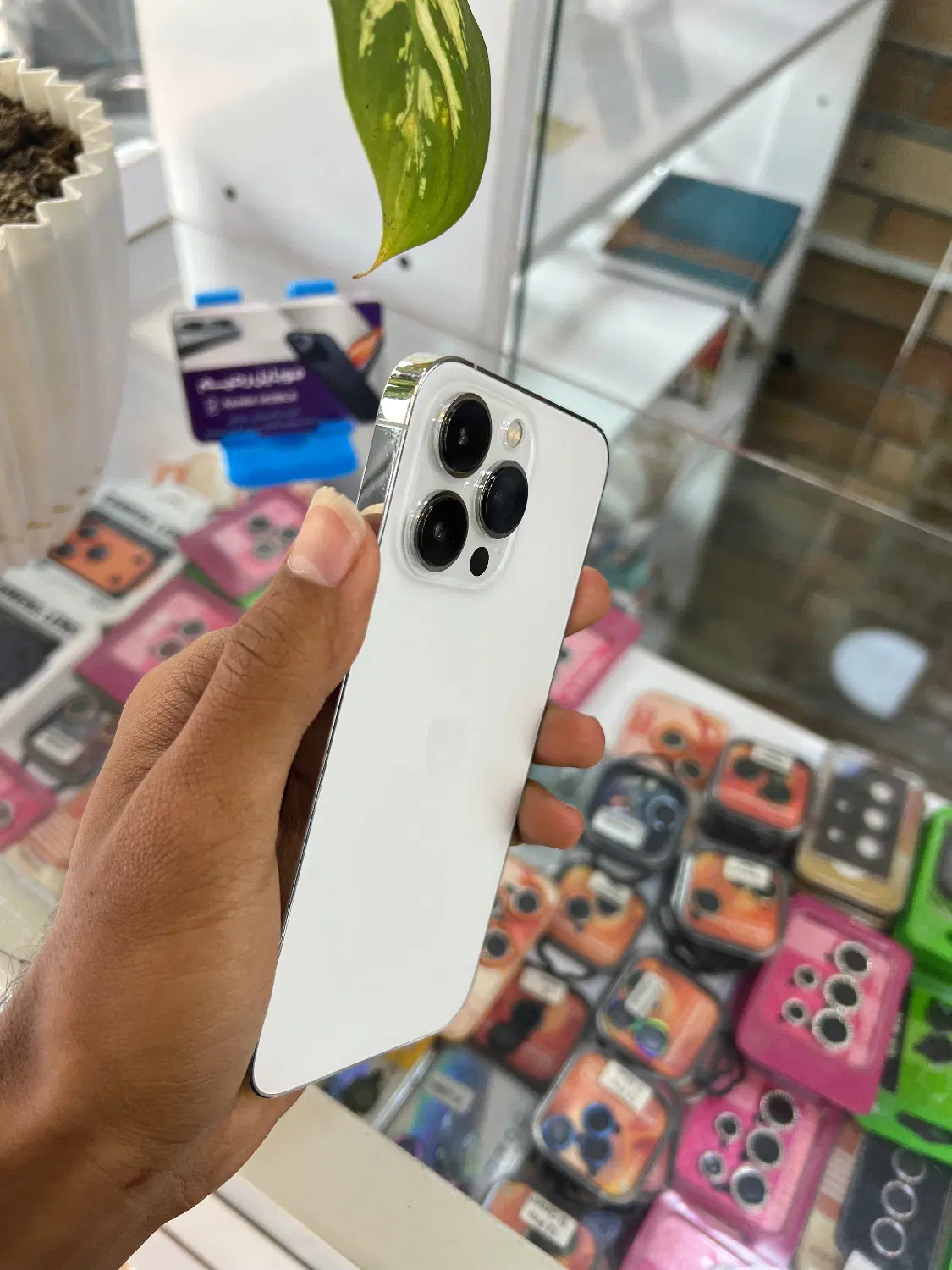 iPhone 13 pro|موبایل|آبادان, |دیوار