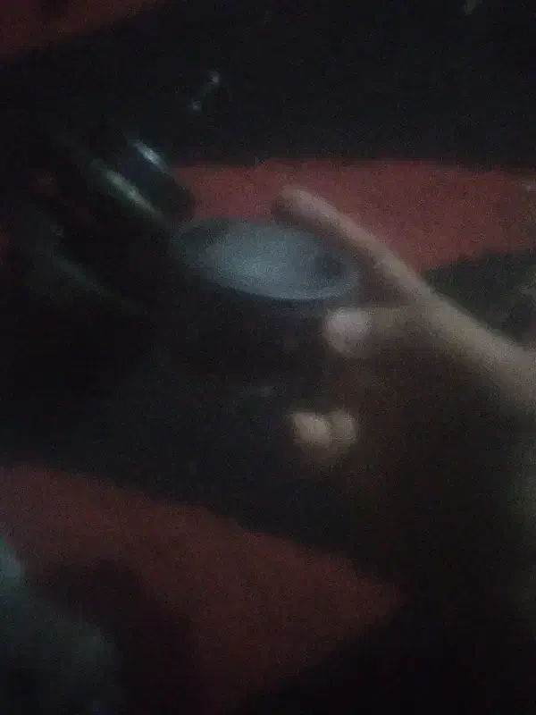 پرنده|پرنده|خرمشهر, |دیوار