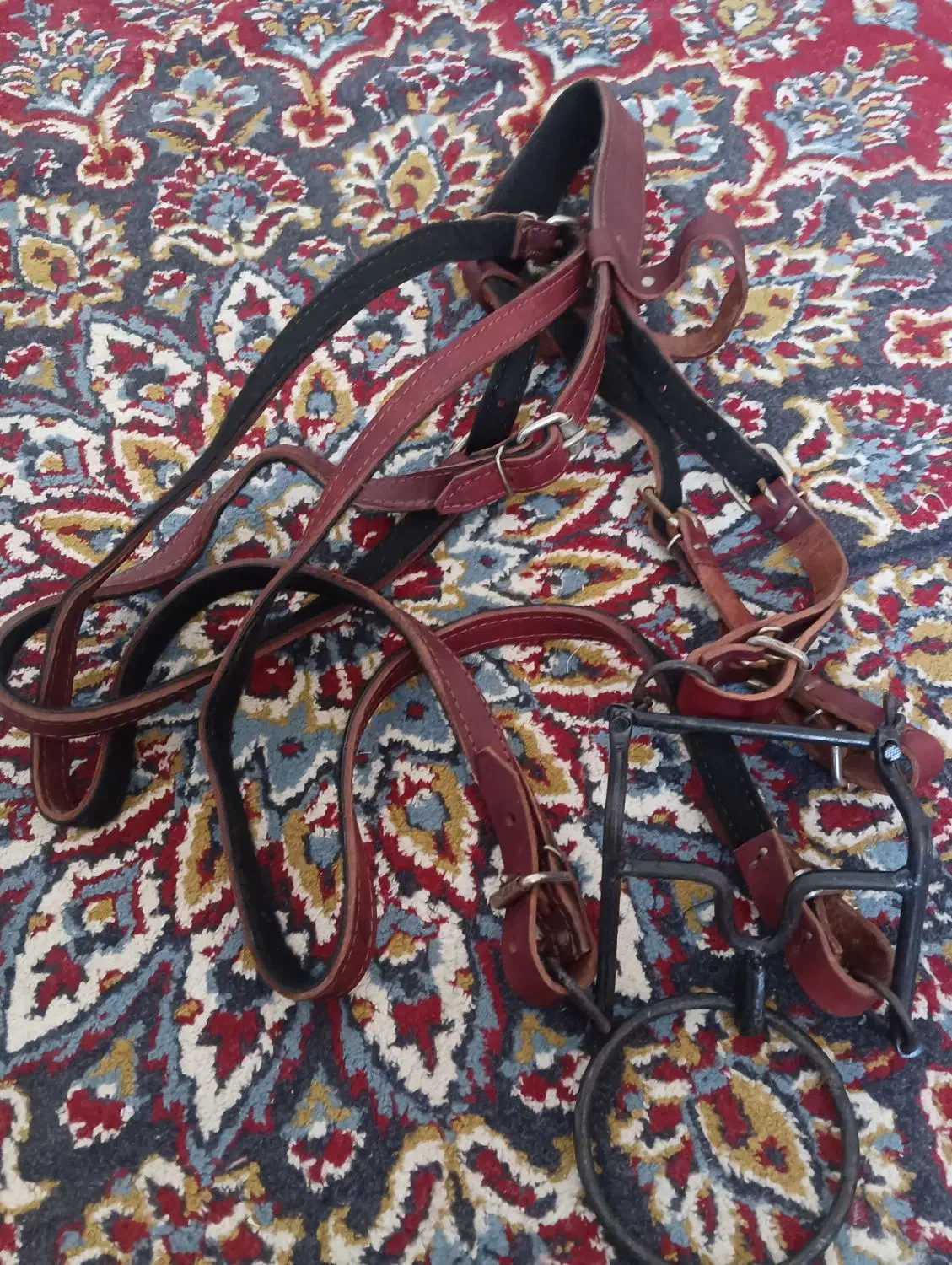 فروش دهنه اسب|اسب و تجهیزات اسب‌سواری|بزینه رود, |دیوار