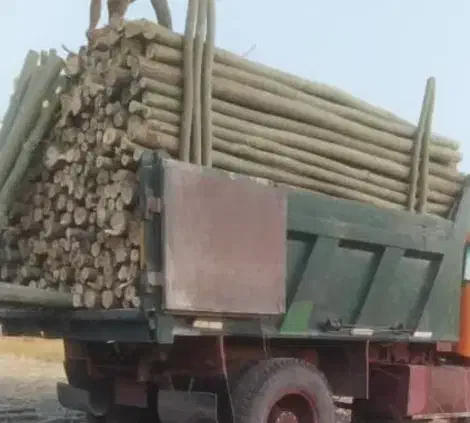 خریدوفروش چوب|عمده‌فروشی|لاران, |دیوار