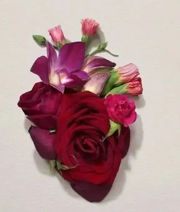 فرمول کرم|آرایشی، بهداشتی، درمانی|زاهدان, |دیوار