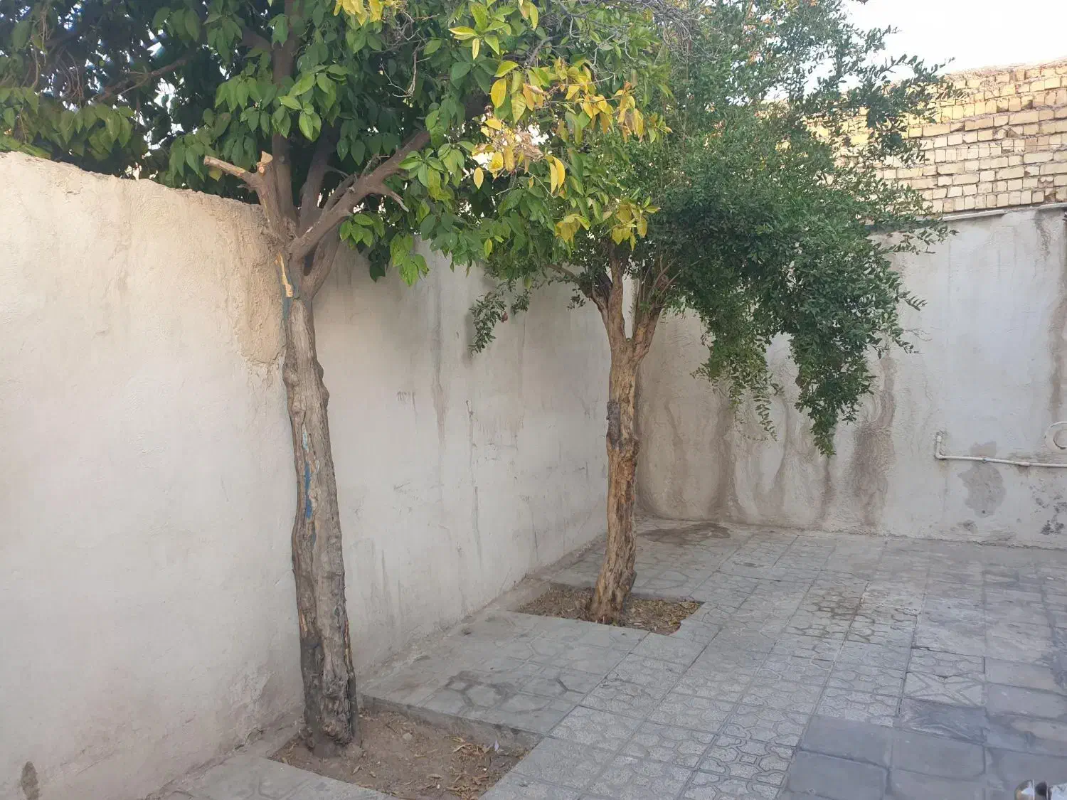 دربست همکف|اجارهٔ خانه و ویلا|شیراز, شهرک کوثر|دیوار