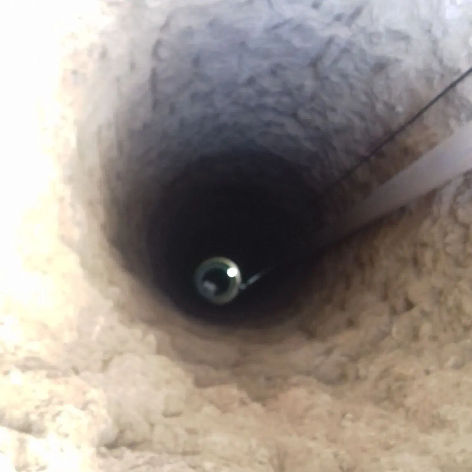 مقنی چاه کن حرفه ای|خدمات پیشه و مهارت|ورامین, ورامین|دیوار