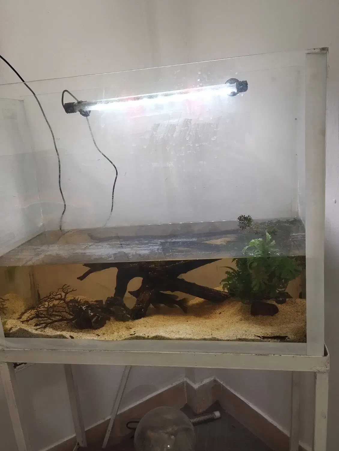 آکواریوم با پایه و تجهیزات|لوازم جانبی حیوانات|یزد, |دیوار