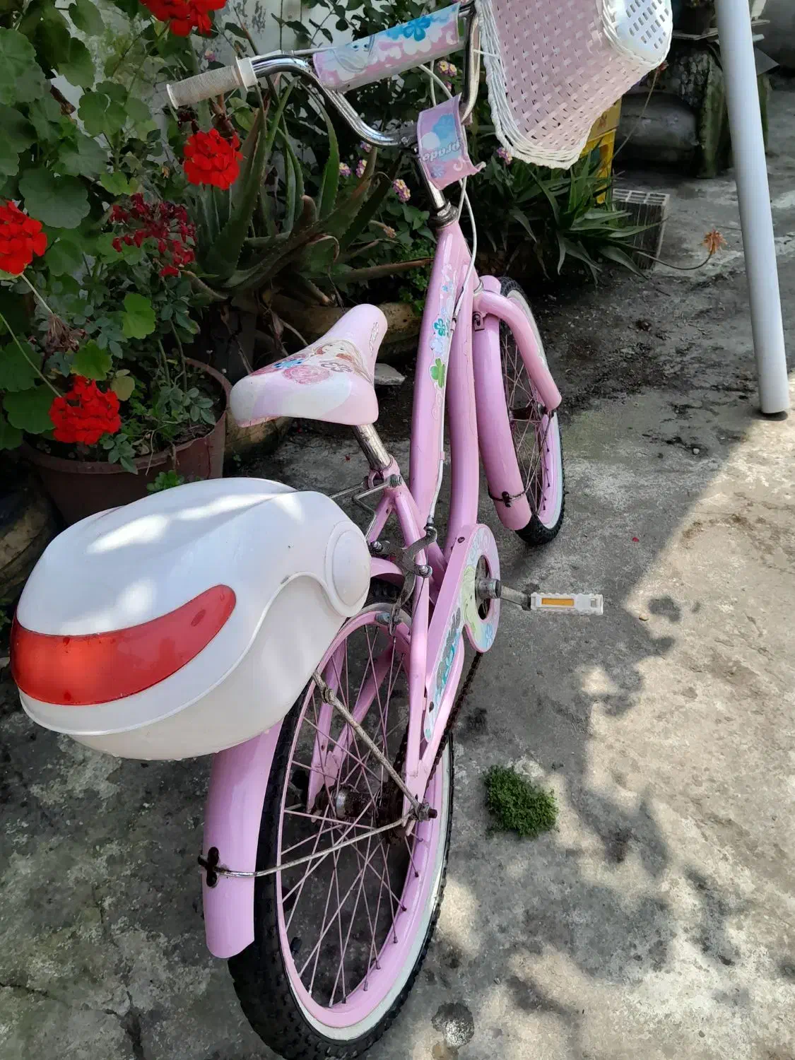 دوچرخه دخترانه|دوچرخه، اسکیت، اسکوتر|بندر انزلی, میان پشته|دیوار