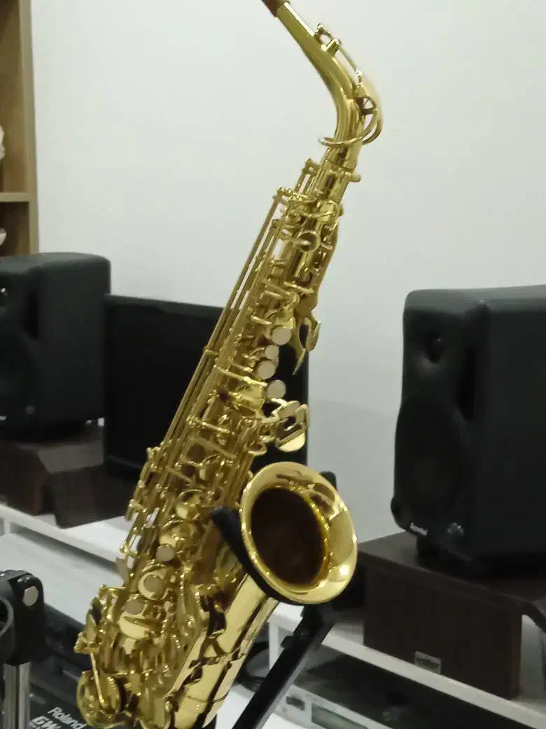 ساکسیفون التو ( پارامونت)|سازهای بادی|چمستان, |دیوار