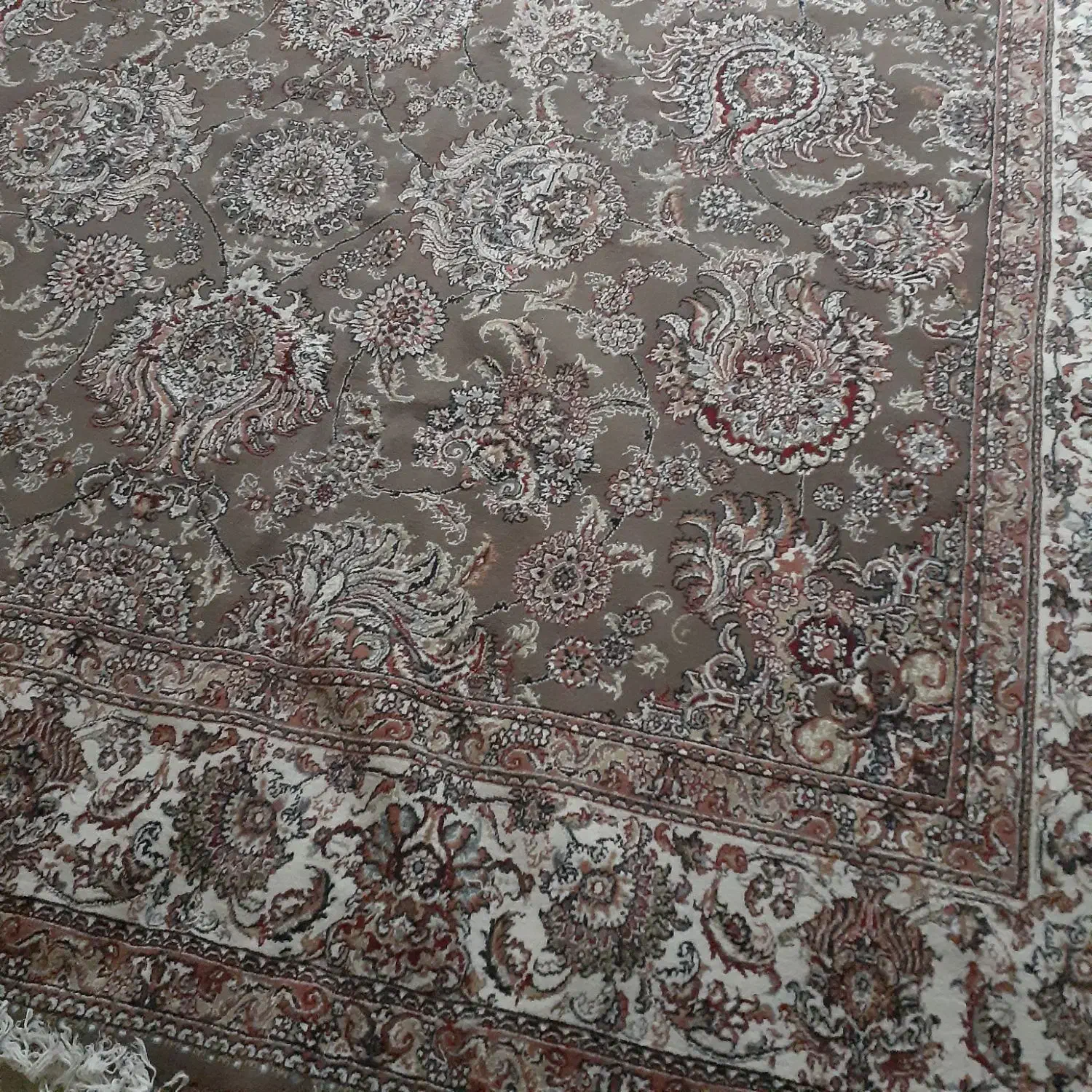 فروش و خریدار فرش|فرش|فردیس, دهکده|دیوار