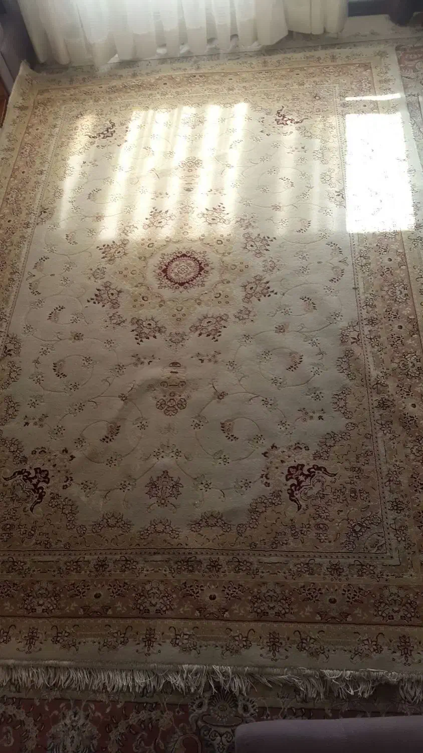 یک عدد فرش ۶ متری|فرش|پردیس, فاز ۳|دیوار