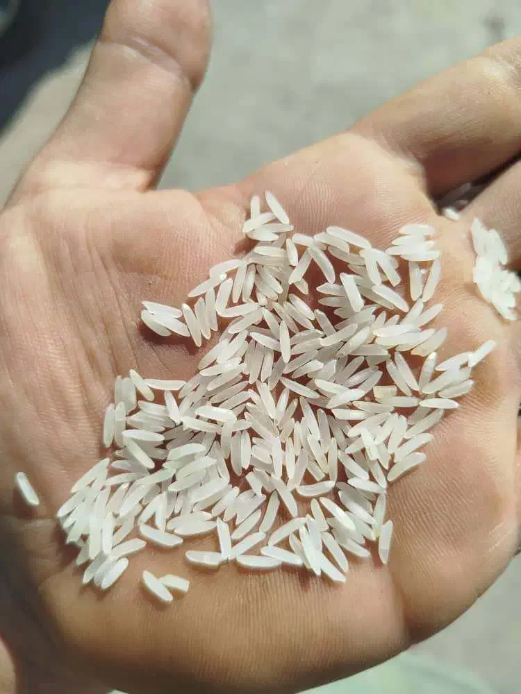 فروش برنج رستورانی درجه یک|خوردنی و آشامیدنی|تهران, گلستان (شهرک راه آهن)|دیوار