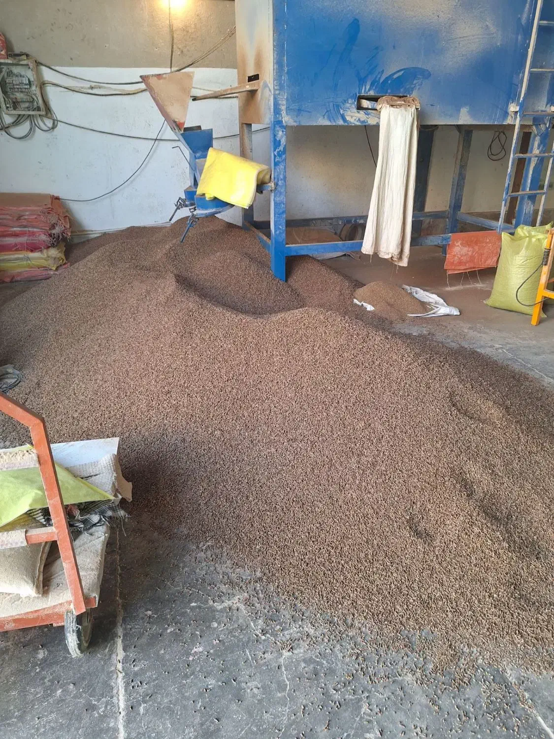 پلت دامی *برا*ی گو*سفندها تغذیه هوشمند* نقد و چکی|لوازم جانبی حیوانات|زنجان, |دیوار