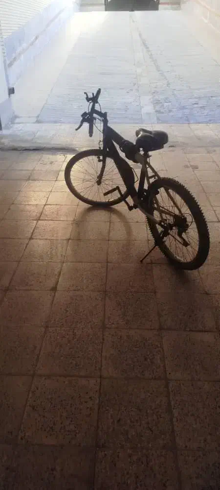 دوچرخه ۲۴|دوچرخه، اسکیت، اسکوتر|شاهین‌شهر, خانه کارگر|دیوار