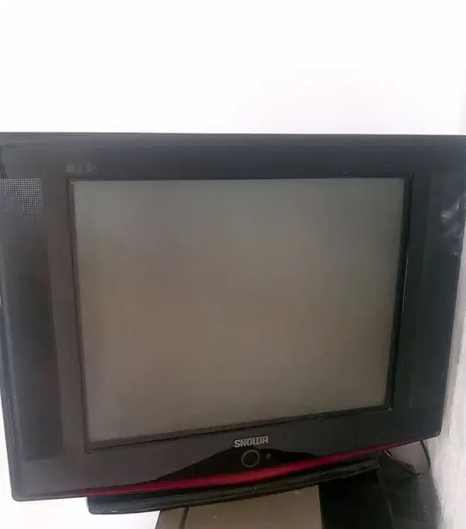 تلوزیون|تلویزیون و پروژکتور|مشهد, شهید احمدی روشن|دیوار