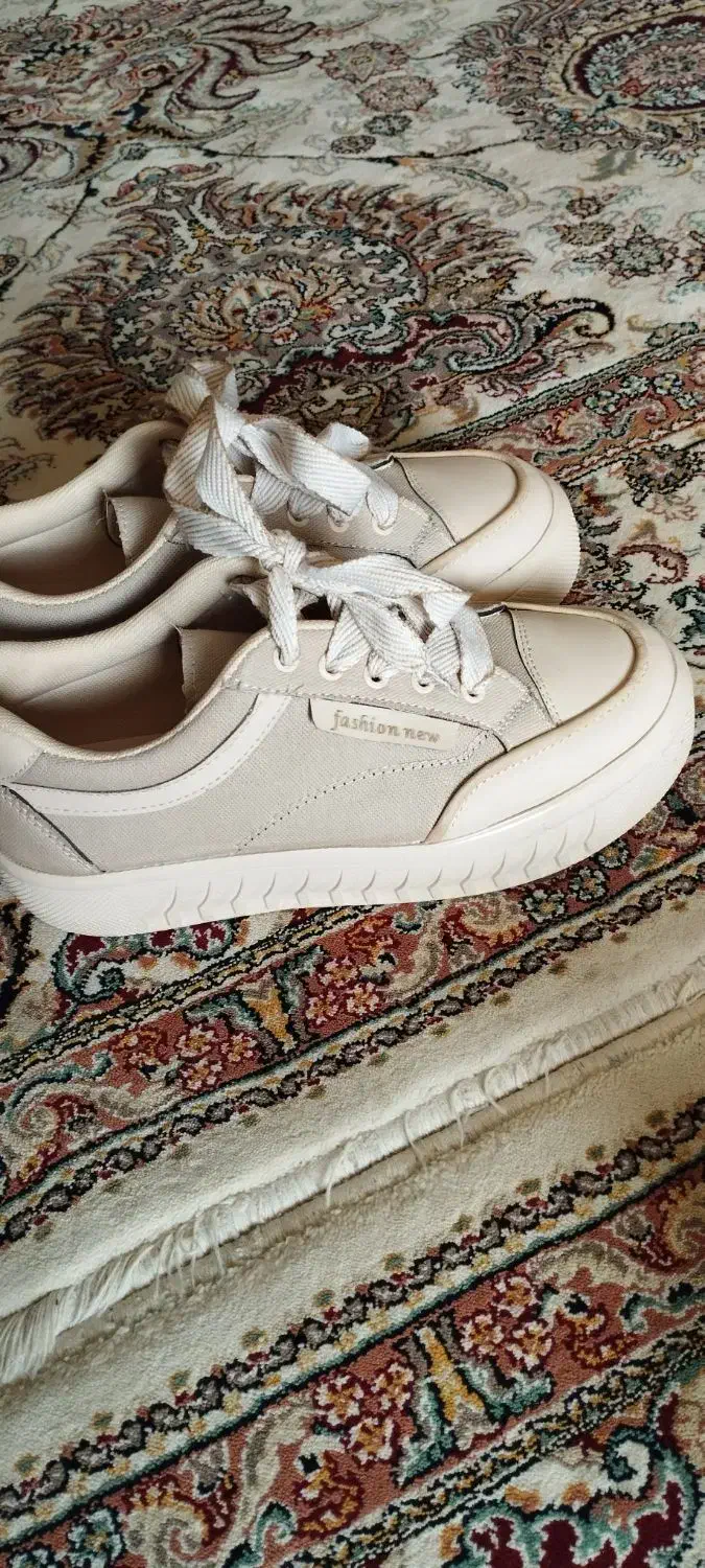 کفش|کیف، کفش، کمربند|قشم, |دیوار