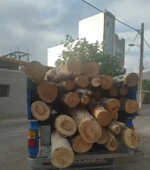 خرید و فروش چوب|خدمات باغبانی و درختکاری|ملایر, |دیوار