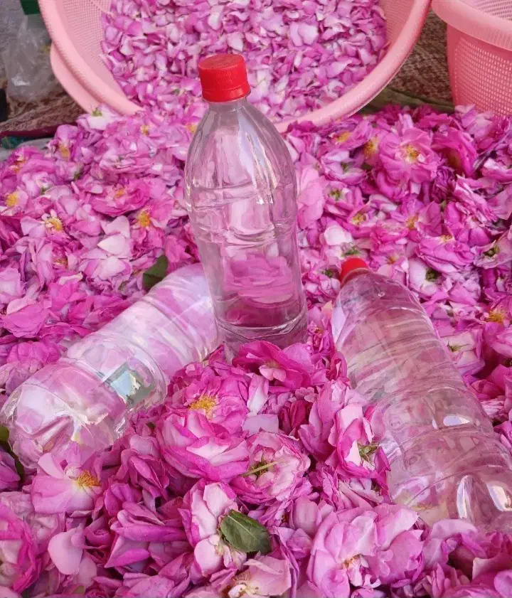 طبیعی|آرایشی، بهداشتی، درمانی|نهاوند, |دیوار