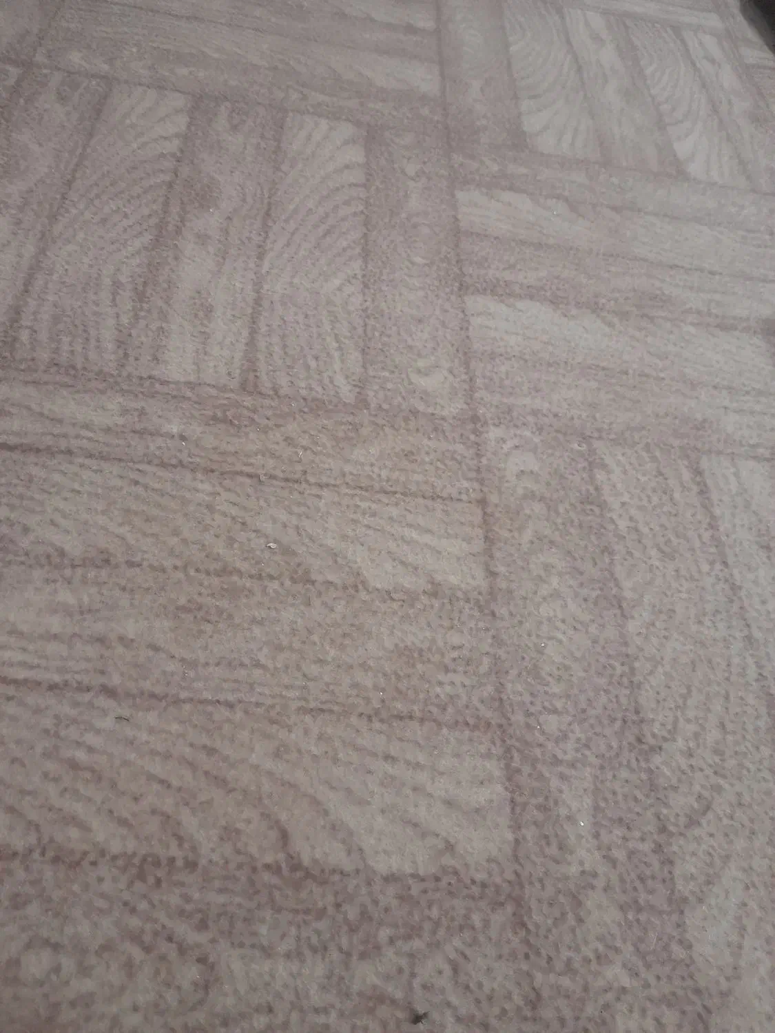 موکت طرح کاشی بدون سوختگی|موکت|گنبد کاووس, |دیوار