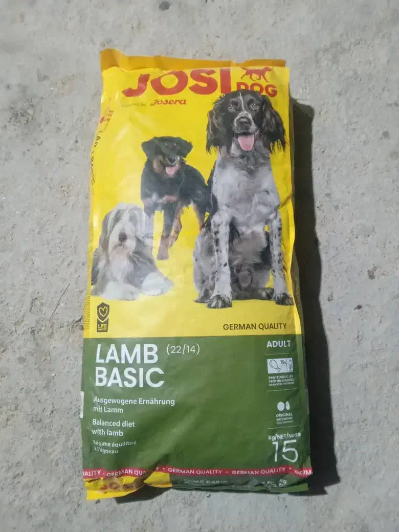 فروش ۹ کیسه غذای گربه|لوازم جانبی حیوانات|لامرد, |دیوار