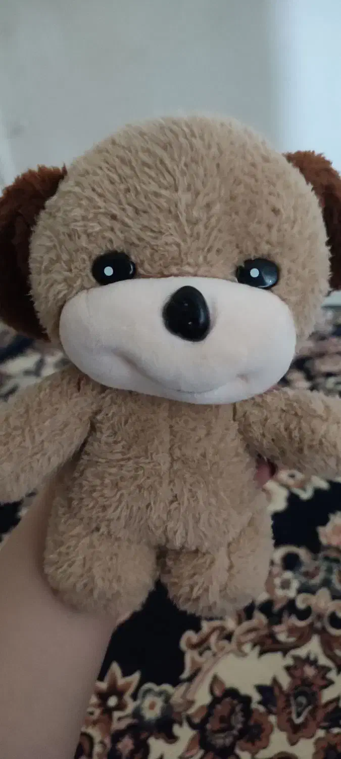 عروسک نصف قیمت|اسباببازی|همدان, |دیوار