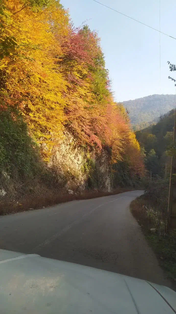 ویلای کوهستانی|فروش خانه و ویلا|رضوانشهر, |دیوار