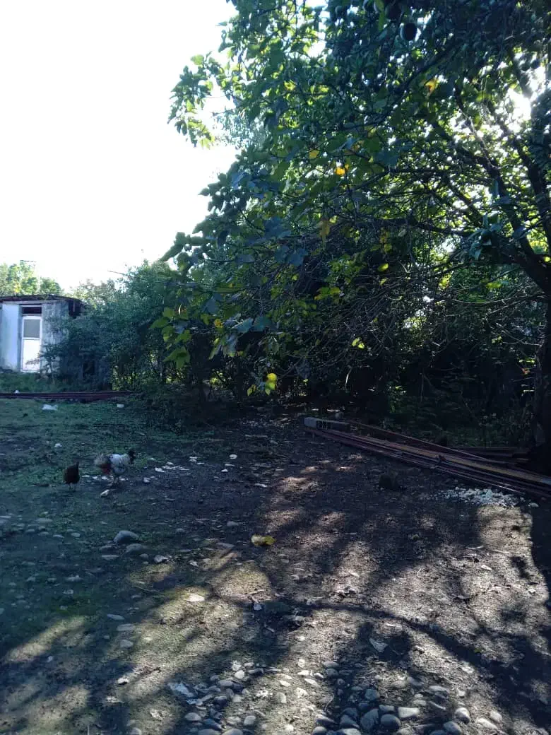 زمین سنددار رضوانشهر|فروش زمین و ملک کلنگی|رشت, چله خانه|دیوار