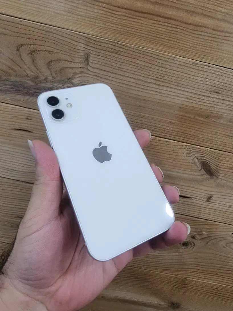 Iphone 12 normal|موبایل|ماهدشت, |دیوار