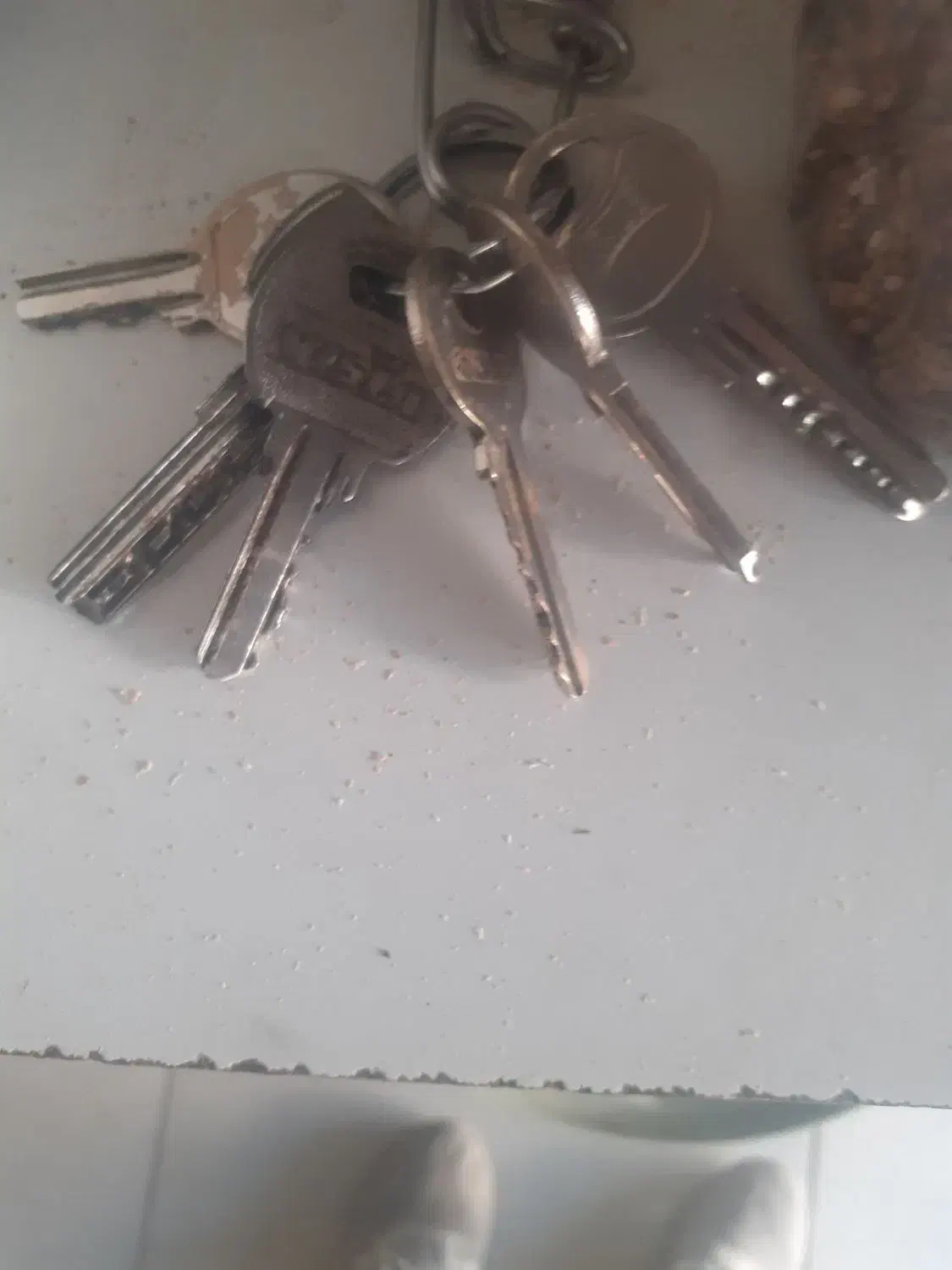 پیداشده|اشیا|برازجان, |دیوار