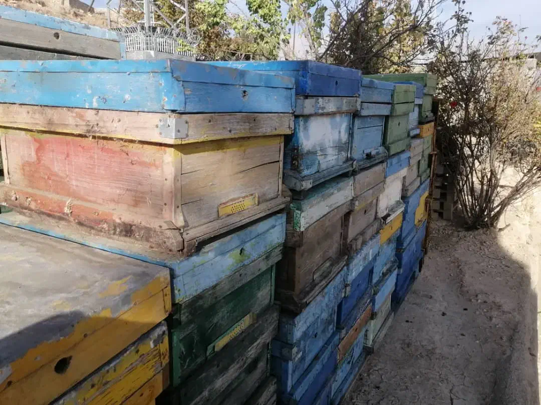 فروش تعدادی کندو زنبور عسل|عمدهفروشی|یاسوج, |دیوار