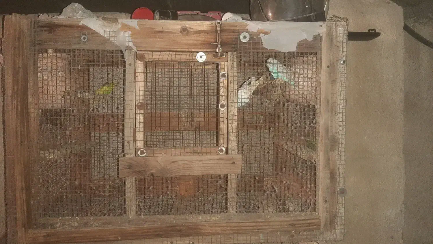 قفس چوبی با  فنس خوب و محکم.قیمت توافقی|لوازم جانبی حیوانات|بندرعباس, |دیوار