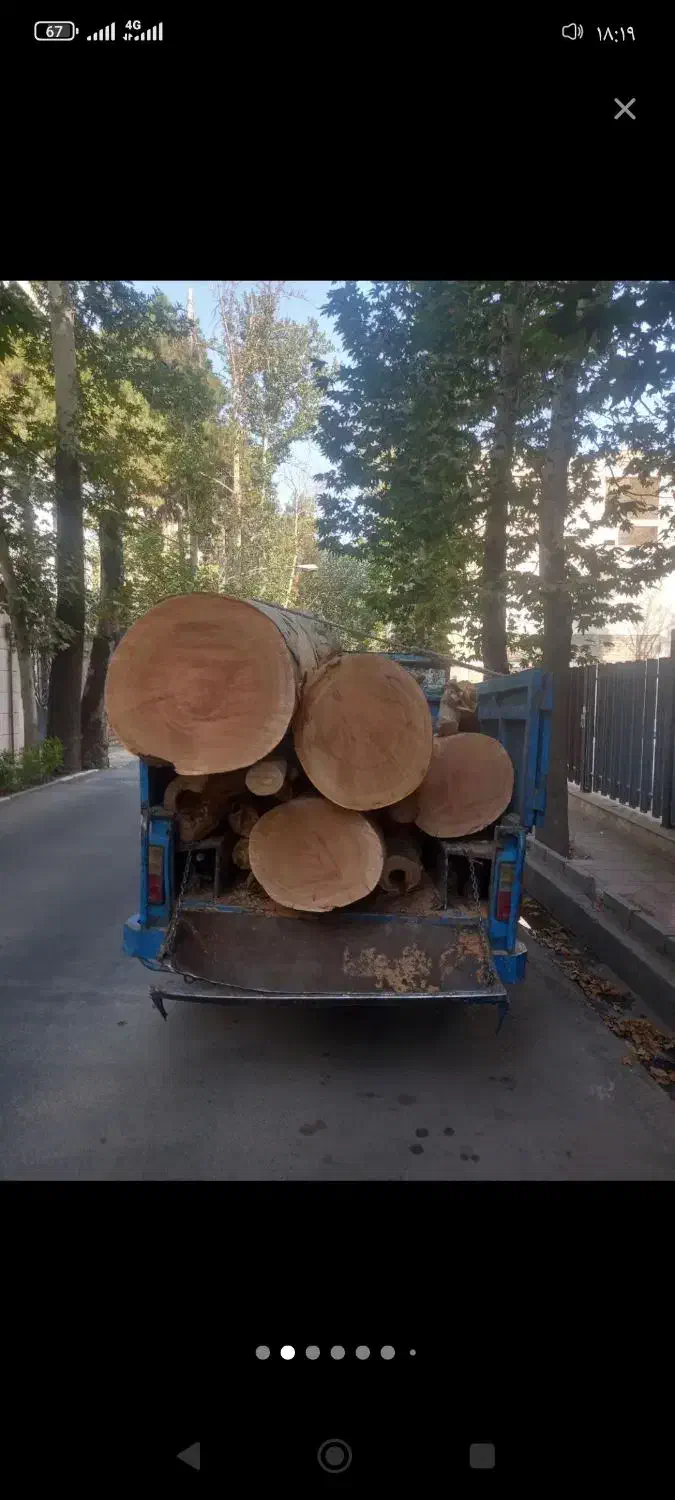 خریدار چوب چنار وکاج گردو تنه زیر پالت|عمده‌فروشی|تهران, دولتخواه جنوبی|دیوار
