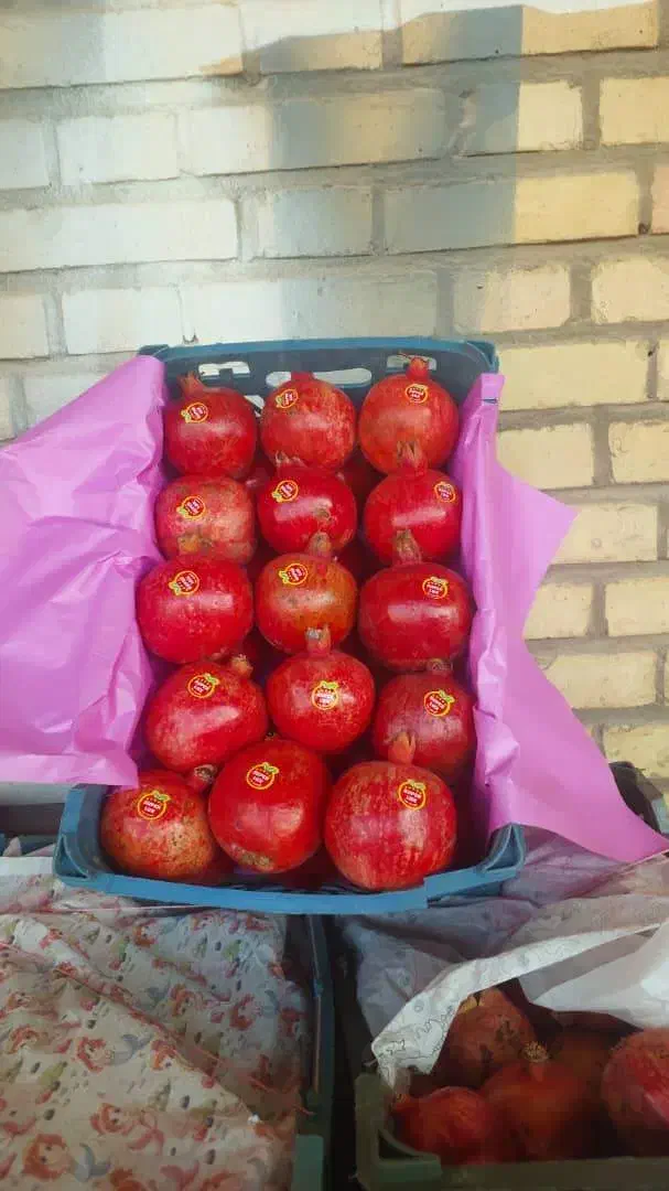 شاگرد|استخدام بازاریابی و فروش|شهرضا, |دیوار