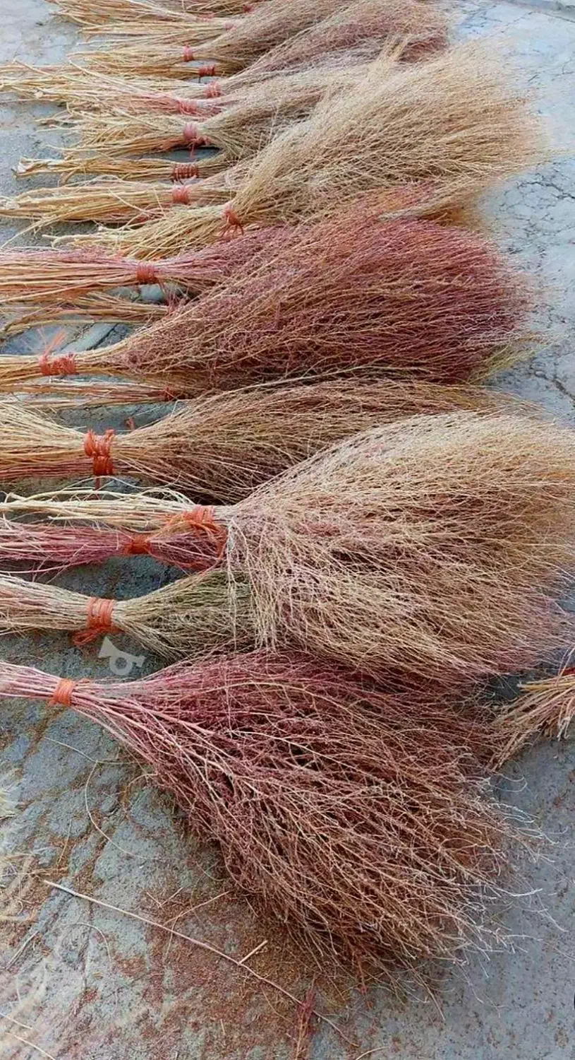 جارو حیاط|لوازم نظافت|بناب, |دیوار