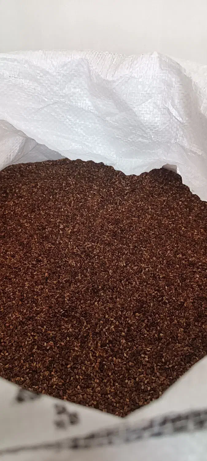 کنجد|خوردنی و آشامیدنی|دره شهر, |دیوار