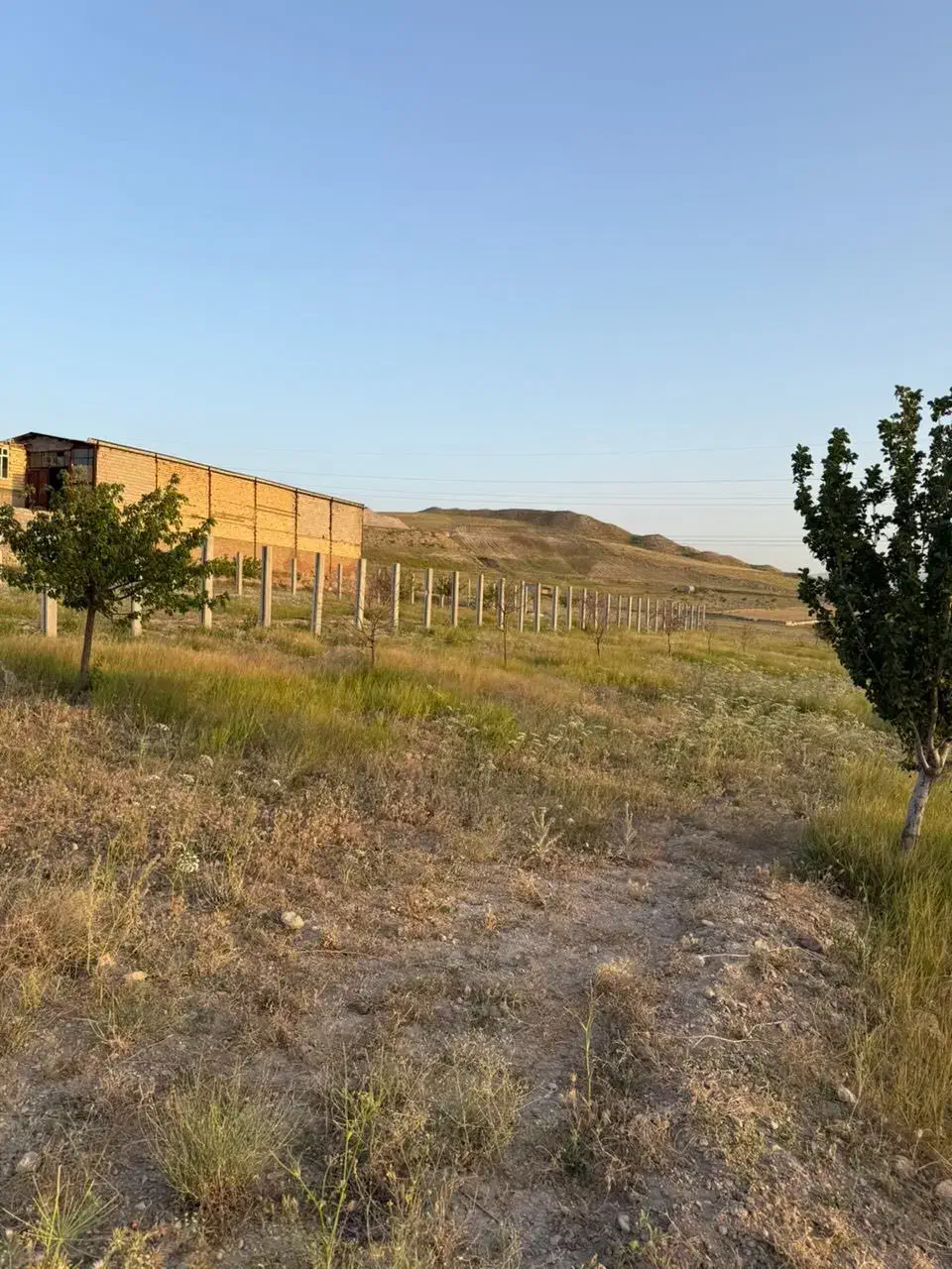 زمین زراعی|فروش زمین و ملک کلنگی|بستان آباد, |دیوار