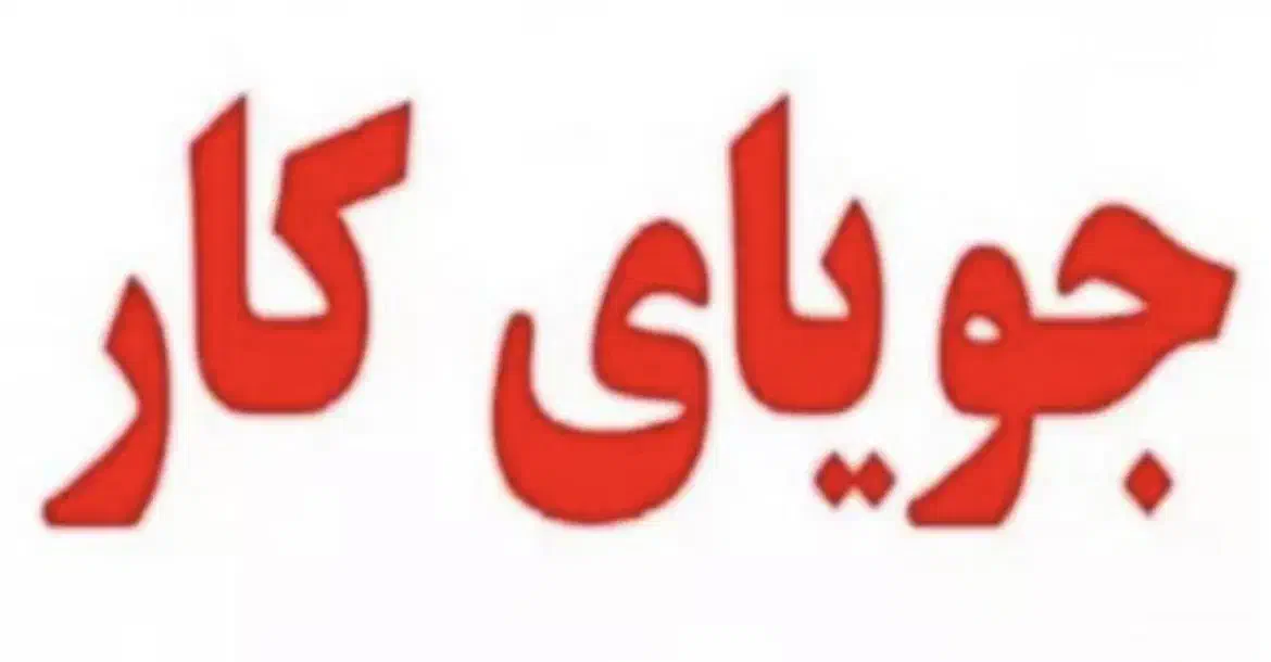 خانم هستم جویای کار می‌باشم|فعالیت داوطلبانه|شیراز, شهرک گلستان|دیوار