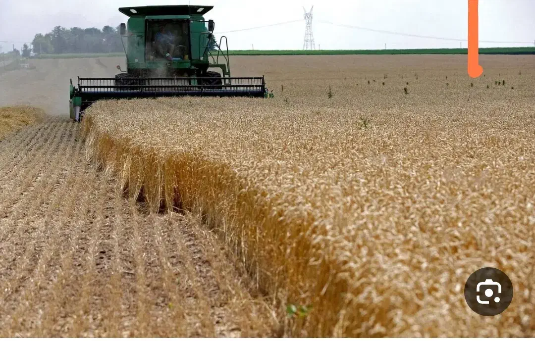 زمین کشاورزی دیم با موقعیت|اجارهٔ دفتر صنعتی، کشاورزی، تجاری|فاضل آباد, |دیوار