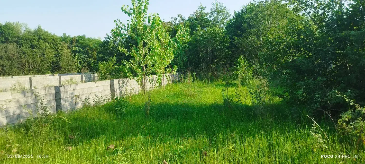زمین تجاری مسکونی 400متر بر اتوبان زیباکنار|فروش زمین و ملک کلنگی|لشت نشا, |دیوار