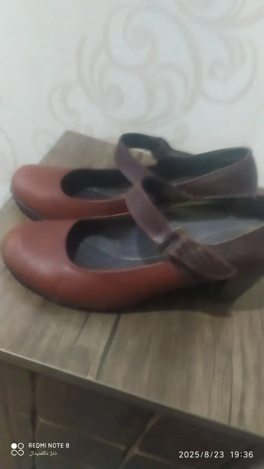 فروش کفش|کیف، کفش، کمربند|الشتر, |دیوار