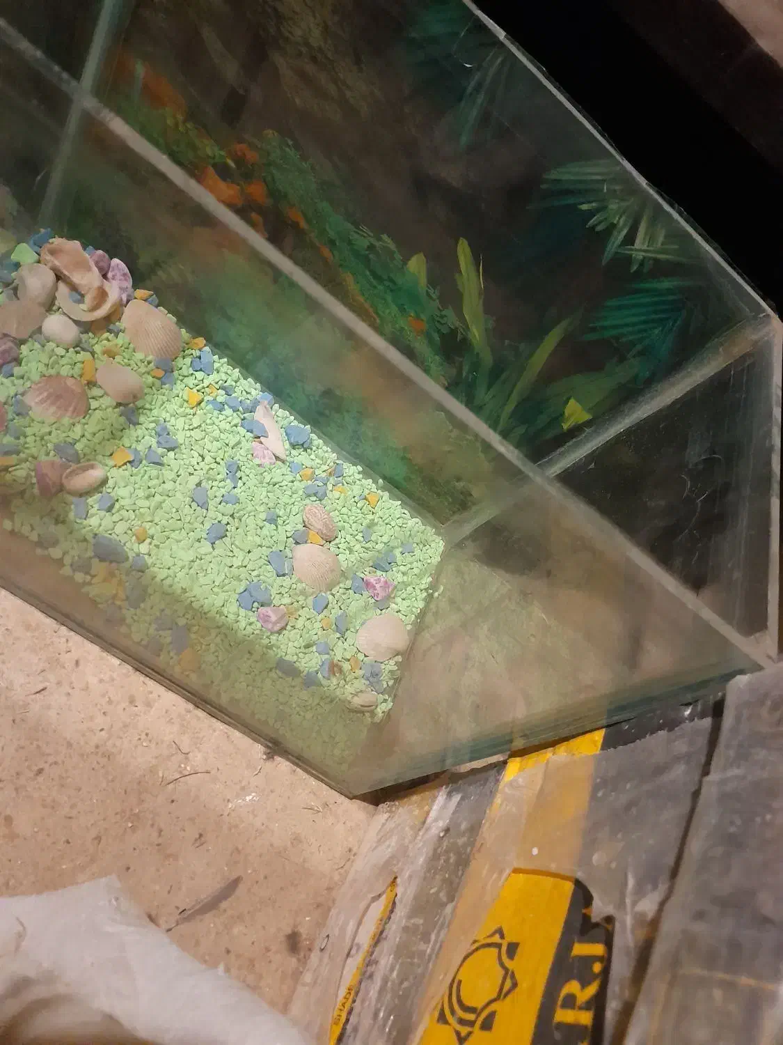 اکواریوم ماهی|ماهی|دهگلان, |دیوار