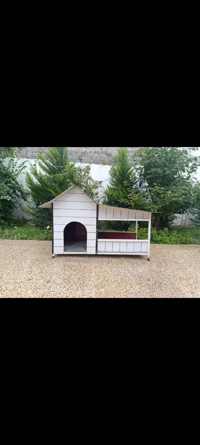 خانه سگ|لوازم جانبی حیوانات|ساری, |دیوار