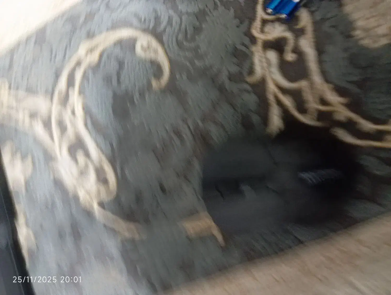 موس پ کیبورد|قطعات و لوازم جانبی رایانه|فردیس, شهرک ارم|دیوار