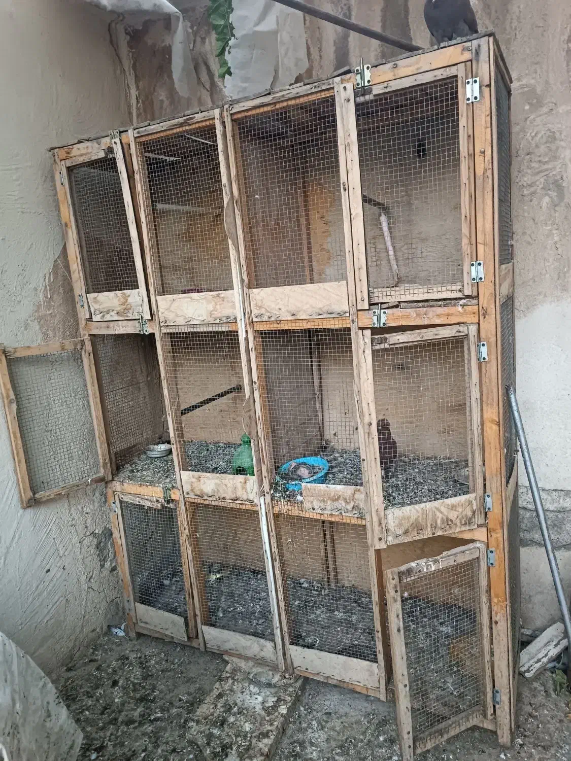 گنجه کبوتر سالم قیمت 2500|لوازم جانبی حیوانات|قم, خندق|دیوار